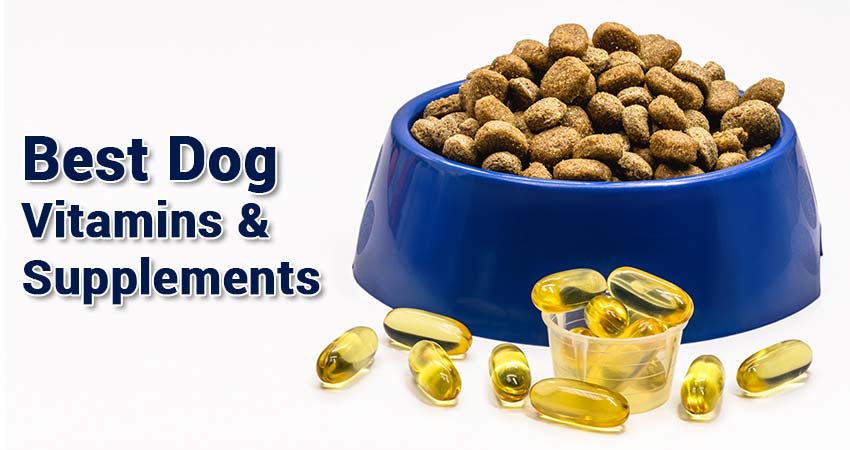 best-dog-vitamins-&-supplements-1 (1)