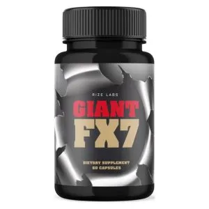 GiantFX7 Review