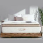 Saatva Mattress: Elevate Your Sleep to a New Level